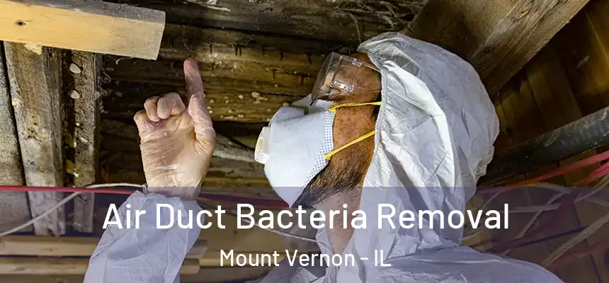 Air Duct Bacteria Removal Mount Vernon - IL