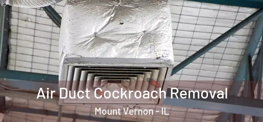  Air Duct Cockroach Removal Mount Vernon - IL
