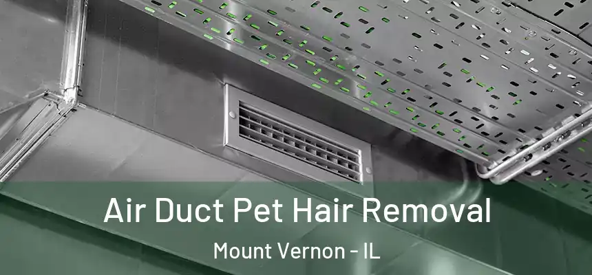  Air Duct Pet Hair Removal Mount Vernon - IL