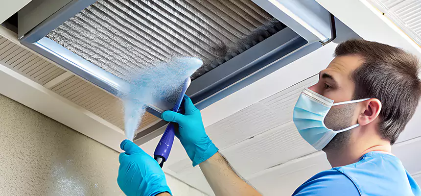 Proactive Dryer Vent & Auxiliary Duct Pollen Cleanup in Mount Vernon, IL