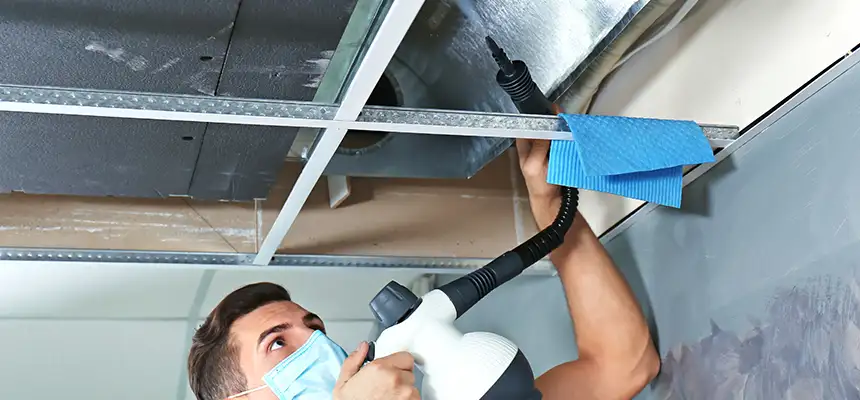 Our Air Duct Rodent Removal Services in Mount Vernon, IL