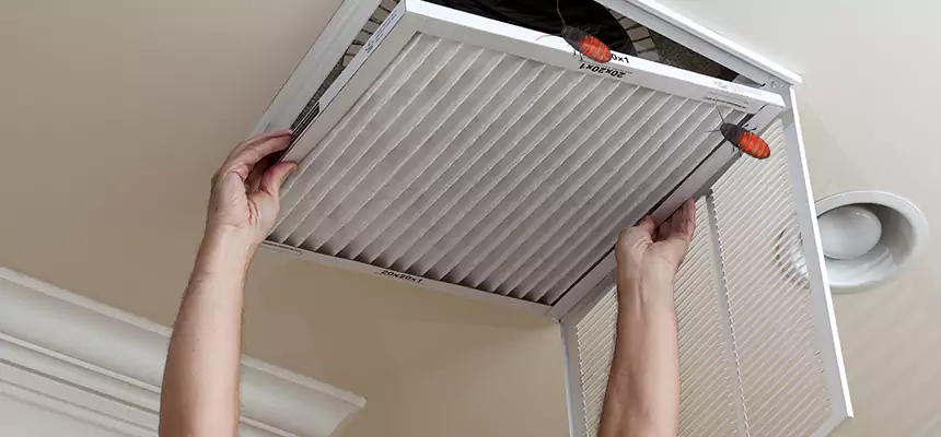Our Insect Removal from Air Ducts Services in Mount Vernon, IL