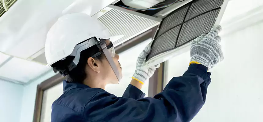 Our Mold & Mildew Removal from Air Ducts Services in Mount Vernon, IL