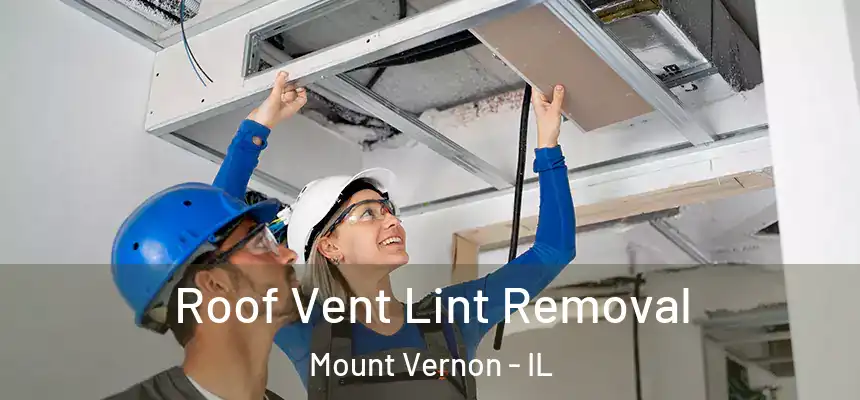  Roof Vent Lint Removal Mount Vernon - IL