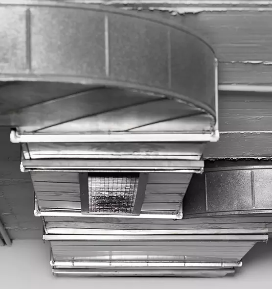 Professional Air Duct Pet Hair Removal in Mount Vernon, IL