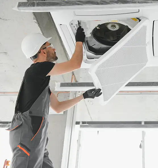 About Air Duct Rodent Removal in Mount Vernon, IL