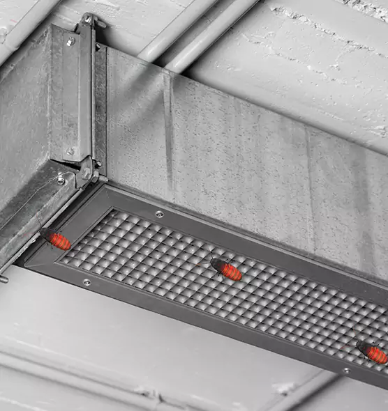 Affordable Insect Removal from Air Ducts in Mount Vernon, IL