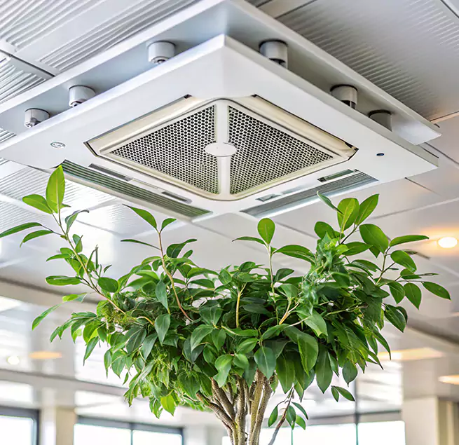 Why Homeowners & Businesses Trust Us in Mount Vernon, IL